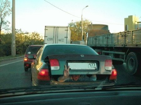 Путешествие в багажнике