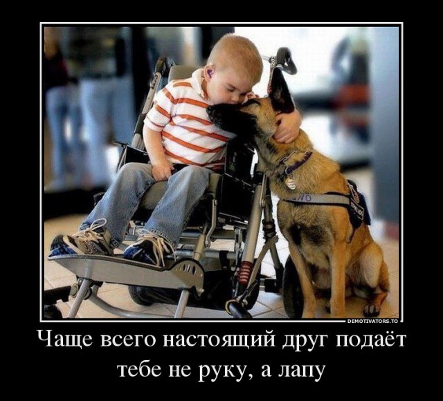 Жизнь и гибель двух «уродов»