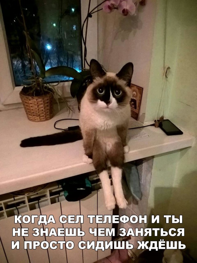 Нестандартный юмор