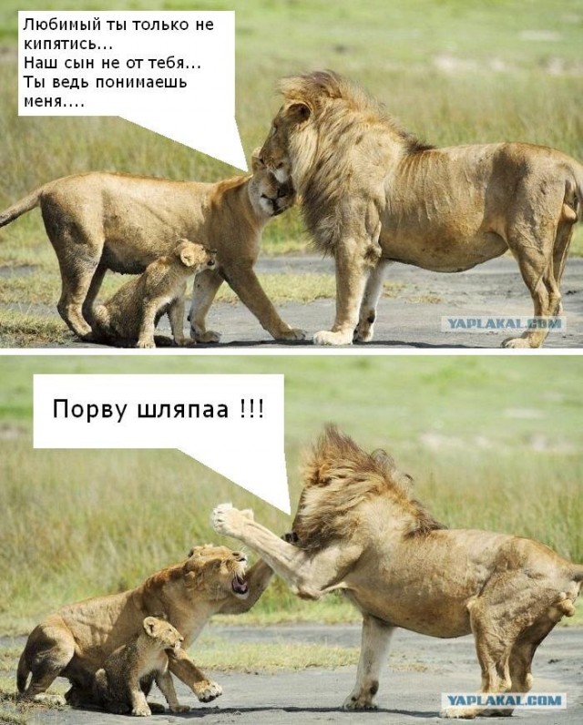 Семейная сцена