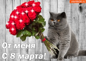 Яповчанки с праздником любви и весны