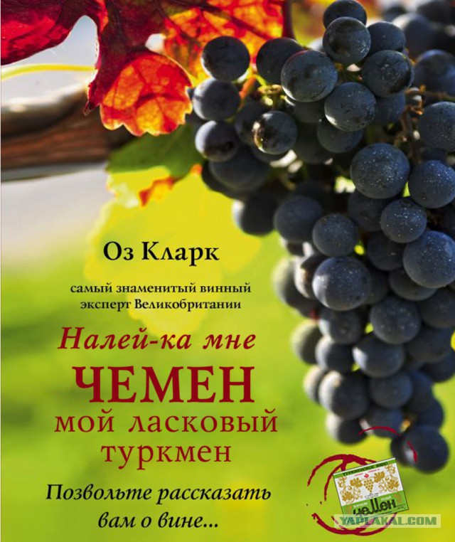 Книга — неиссякаемый источник кульков для семечек