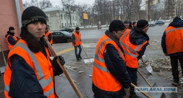 Зверополис