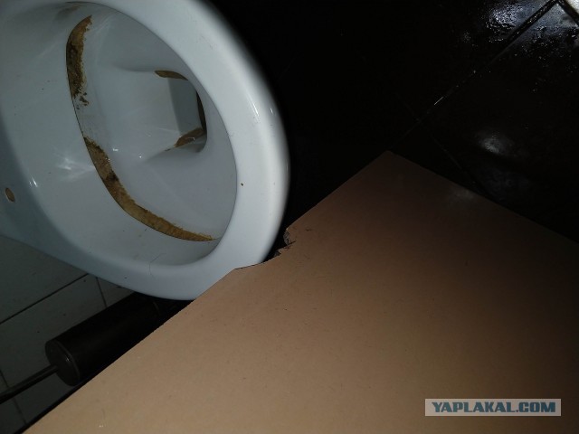 Вся жесть сурового Омского туалета на рынке