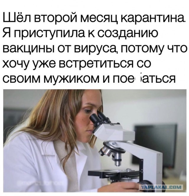 Чуток картинок 15.04.20