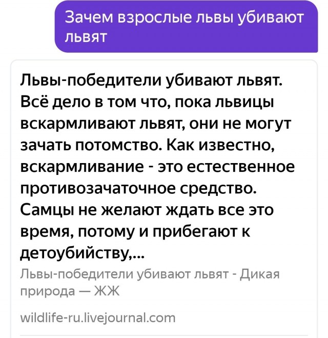 Зачем обезьяны воруют львят?
