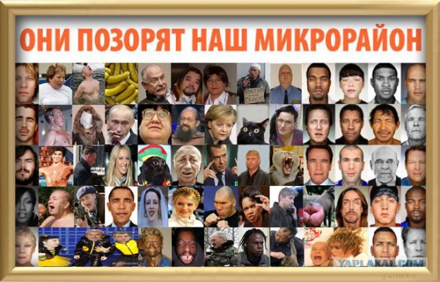 Не в "фокусе"