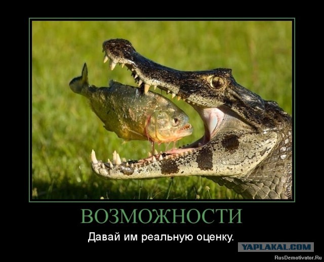 Меткий араб