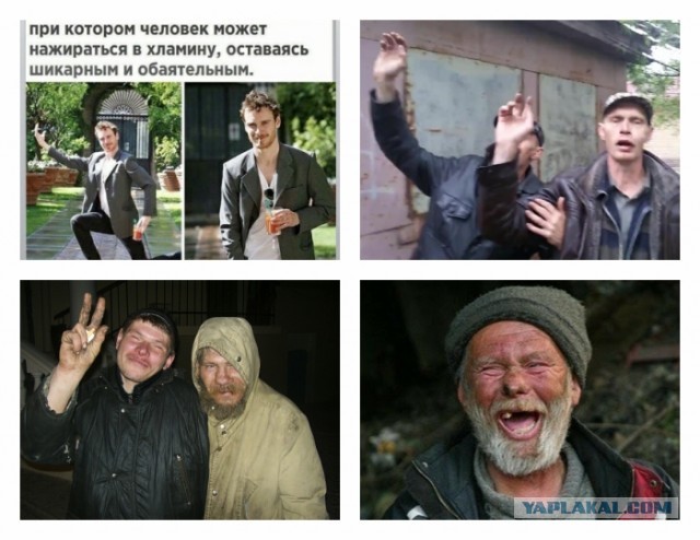 Юмор и прикольные картинки