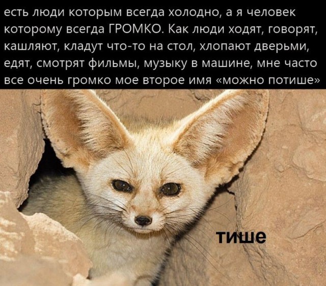 Кретинизмы из KV и KO 31.01.21