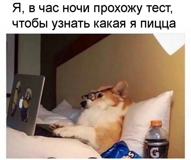 Весёлый полтишок 27.03