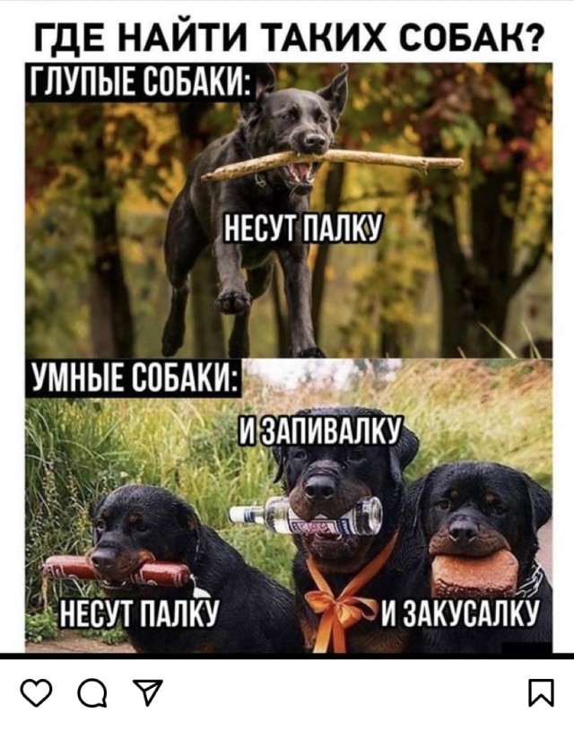 Картинки и мемы для настроения 24.08.2021
