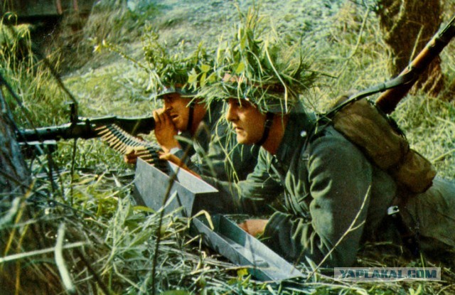 Короли перевоплощения: 16 шедевров военной маскировки