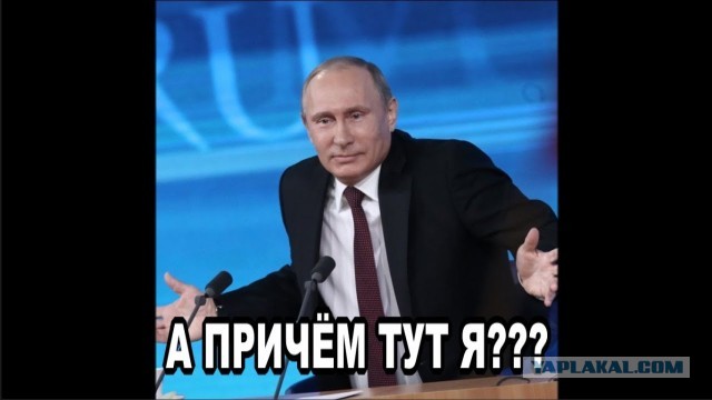 Народ России требует от Путина отменить QR-коды