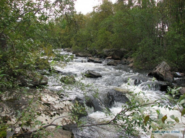 Ваенга река