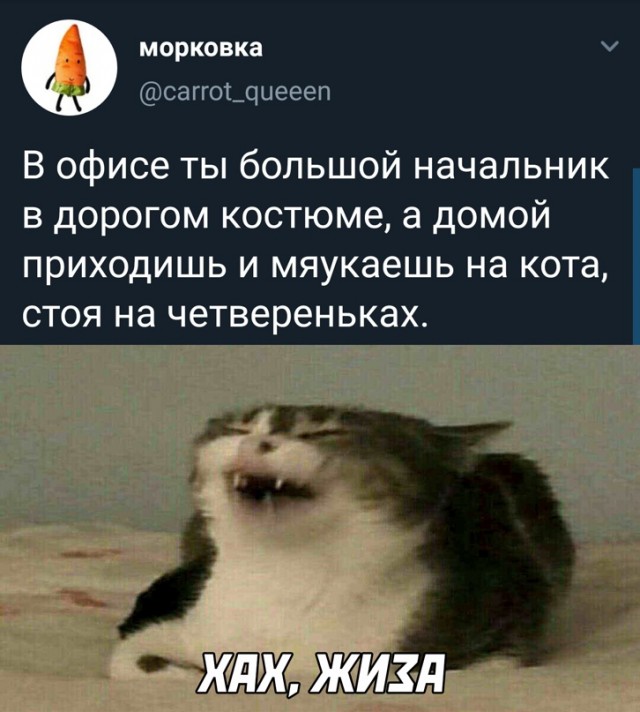 Весёлый полтишок 01.04