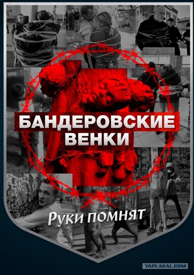 Америка vs Украина