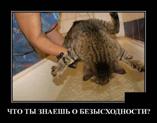 Картинки с надписями 17.07.22