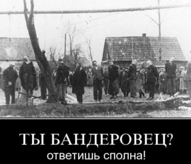 Донецк опять обсыпали лепестками