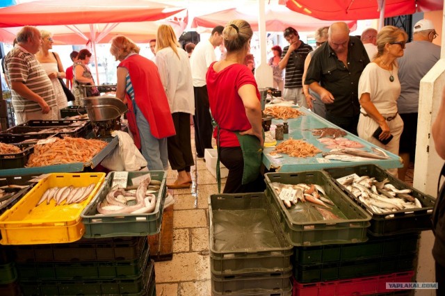 Поездка в Хорватию