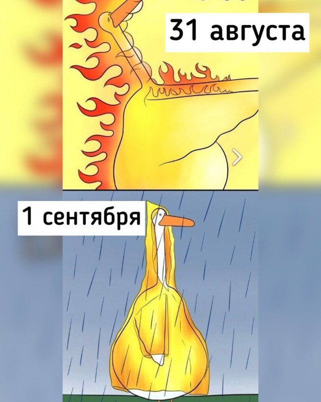 Пандемия съехавших крыш - разновидности болезни. Россия и мир. Часть 40.