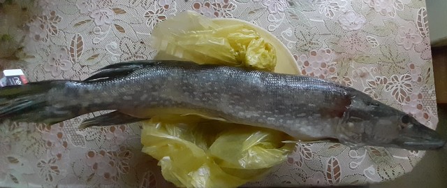 Можно я тоже рыбами похвастаюсь?