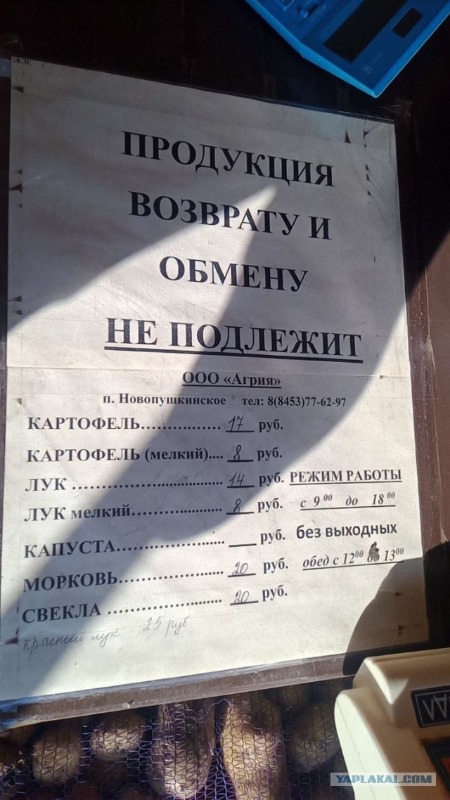 А мы картошку копаем