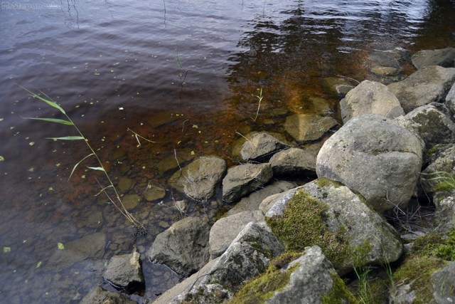 Поездка в Выборг