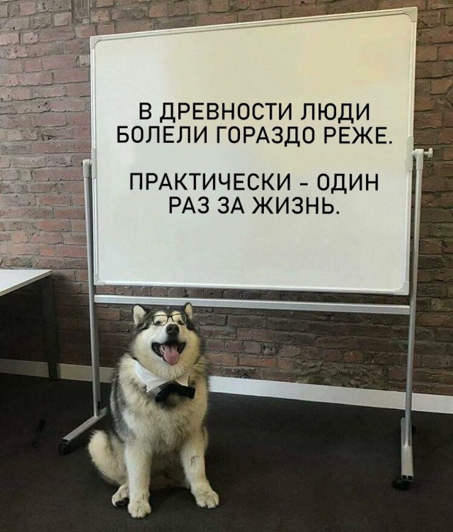 Пандемия съехавших крыш - разновидности болезни. Россия и мир. Часть 41.