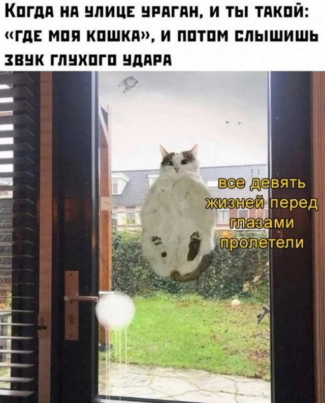 Немного картинок для настроения - 105