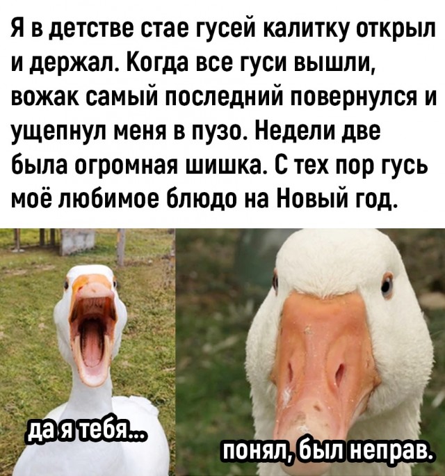 Так себе картинки 26.10.22