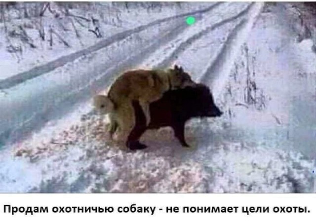 Так себе картинки 22.11.22