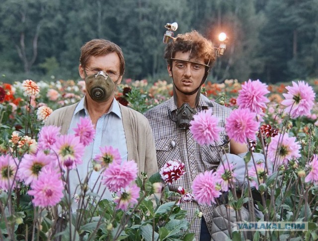Прикольно получилось