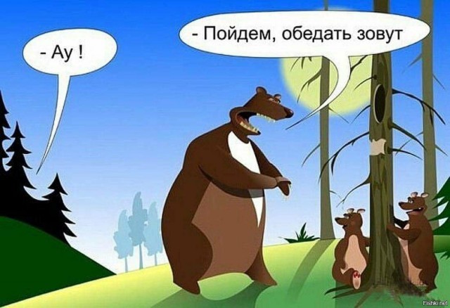Как не огрести от медведя: 5 основных правил