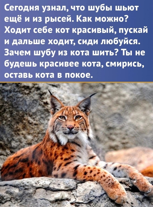 Пятая подборка самых баянистых баянов! Ностальгируем...