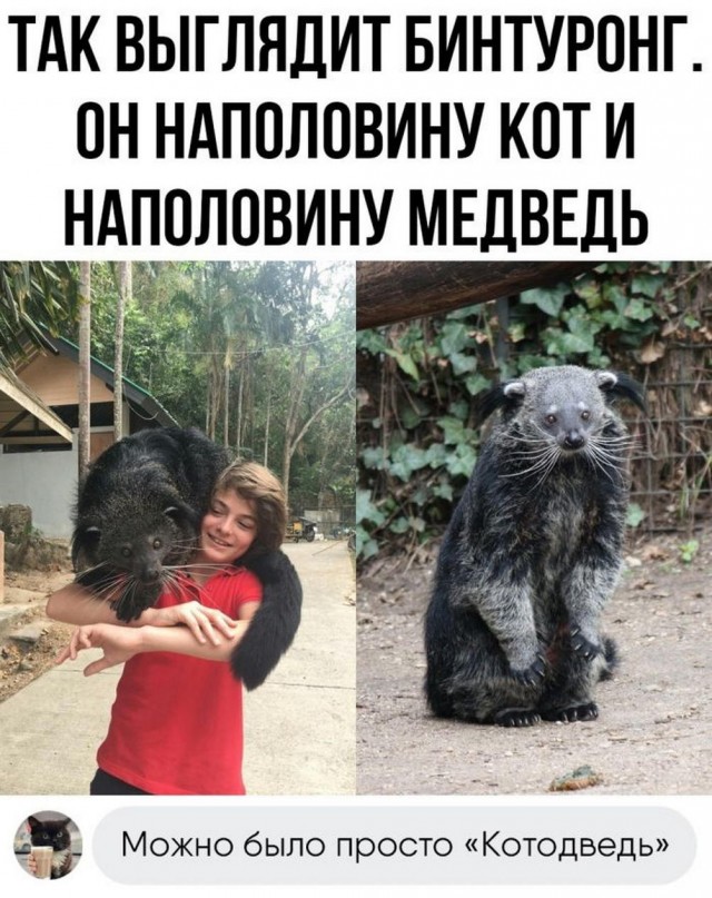 Картинки и мемы, всяко разно - 185