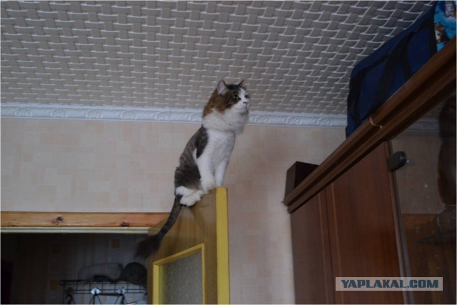 Ну блин, и так сёдня весь сонный хожу..