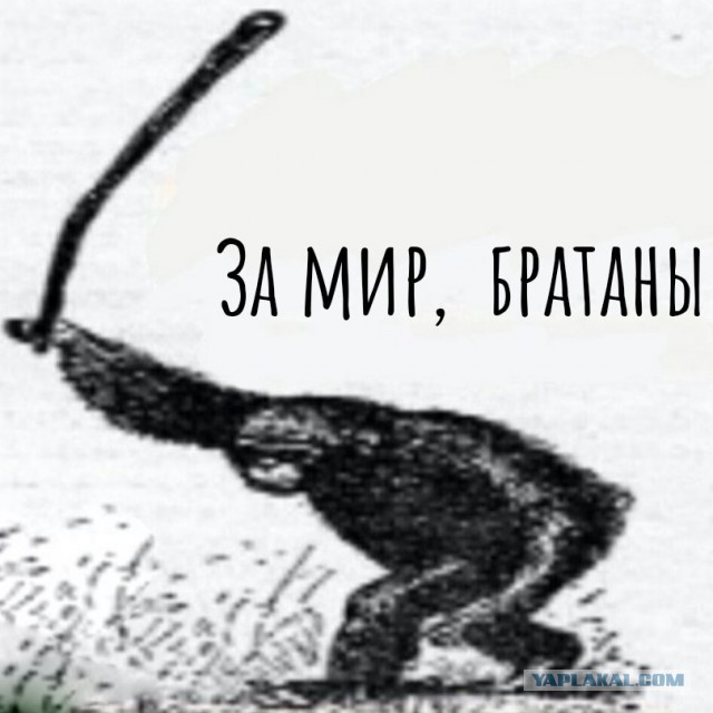 Мораль сей басни такова «толпою гасят даже льва»?