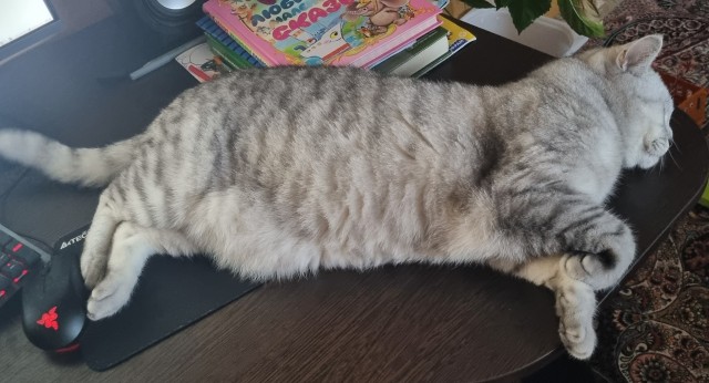 Таити, Таити. Нас и тут хорошо кормят.
