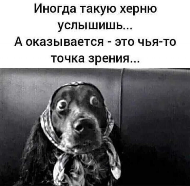 Весёлый полтишок 01.11.23