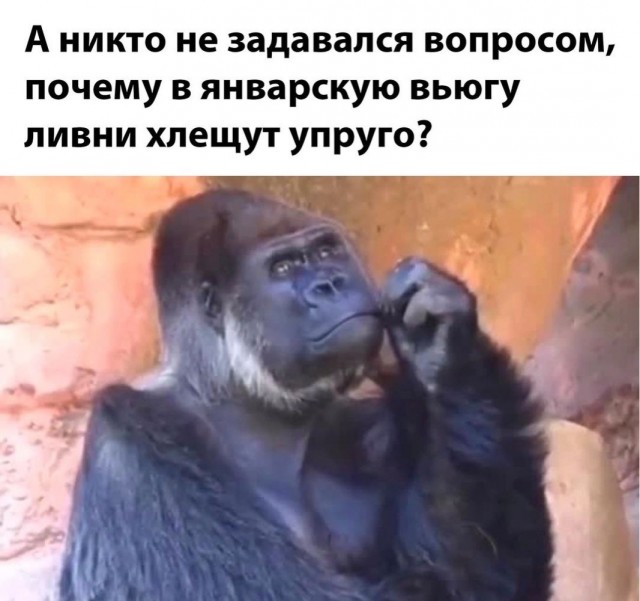 Улыбательные картинки околоновогодней тематики.