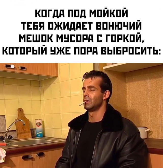 Весёлый полтишок 23.01.24