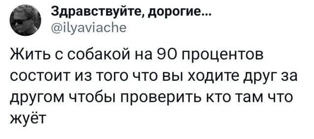 И с кошкой >.<⁠⁠