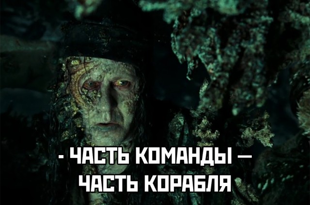 Черепашку побрили и отпустили