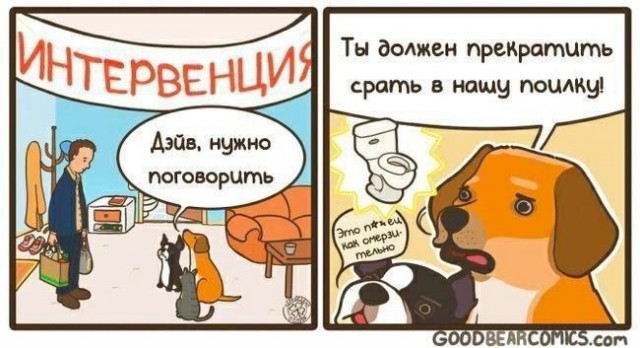 Никакие картинки и тексты