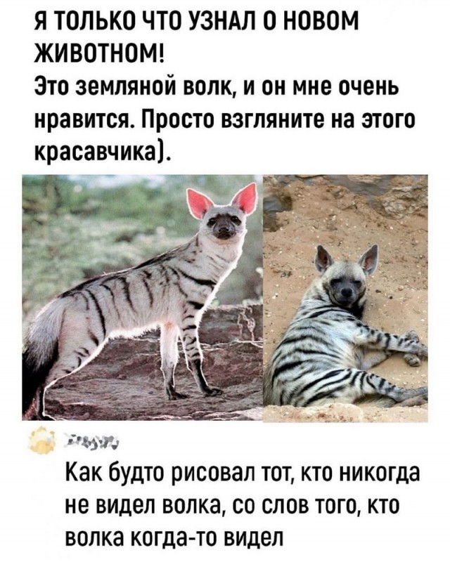 Завалялось тут случайно немного забавных картинок в субботу
