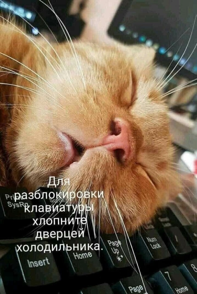 Завалялось тут случайно немного забавных картинок