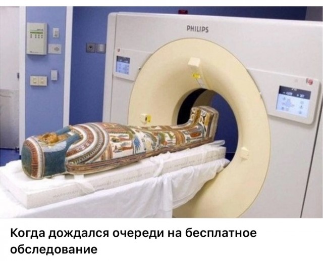 Нуштош 13.12.2024