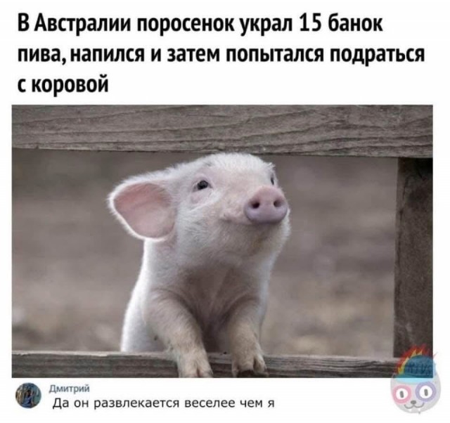 Завалялось тут случайно немного забавных картинок