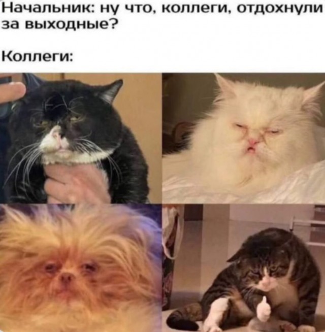 Завалялось тут случайно немного забавных картинок